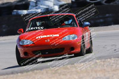 media/Apr-14-2024-Speed Ventures (Sun) [[b247a995cb]]/Purple/Session 2 (Turn 11)/